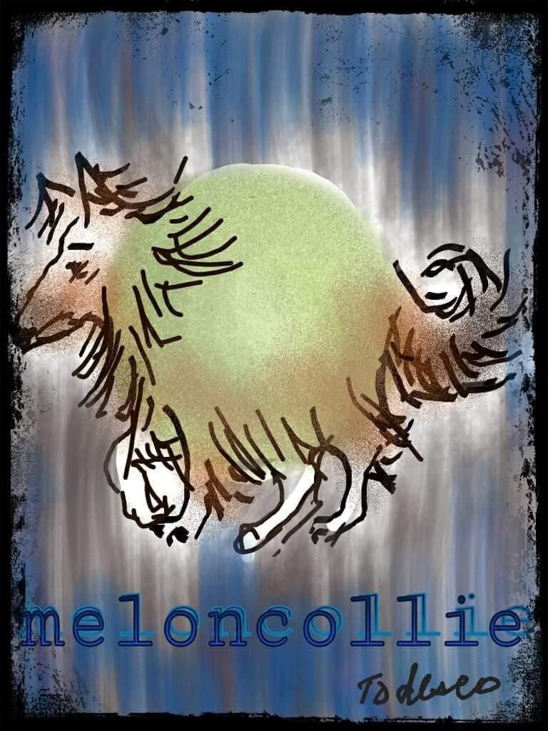 FB_IMG_1507771236845