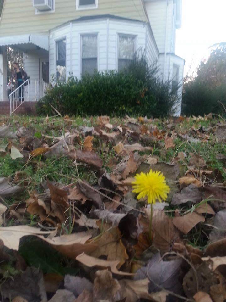 FB_IMG_1543704253306