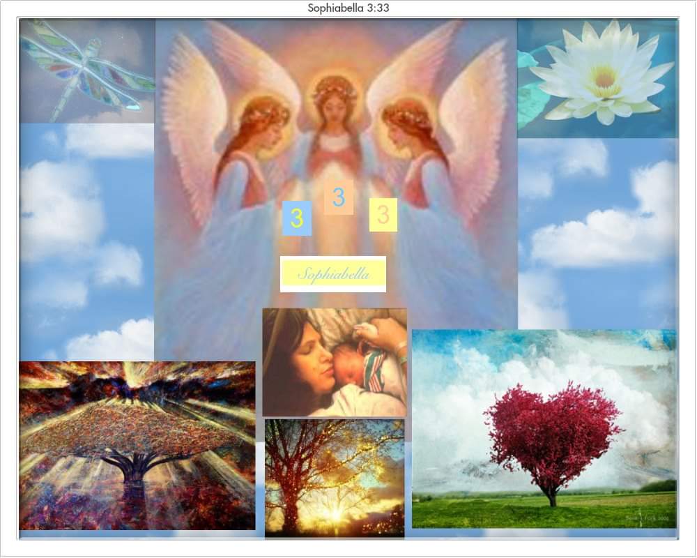 fb_img_1546539028161