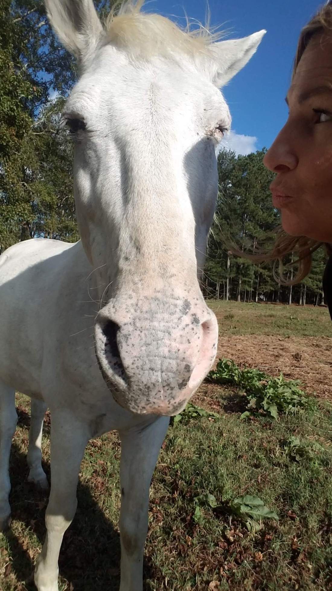 FB_IMG_1548983563587