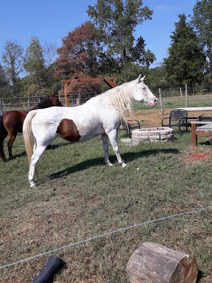 FB_IMG_1570480597153