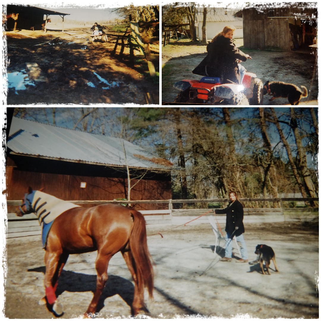 PicsArt_10-08-01.22.34